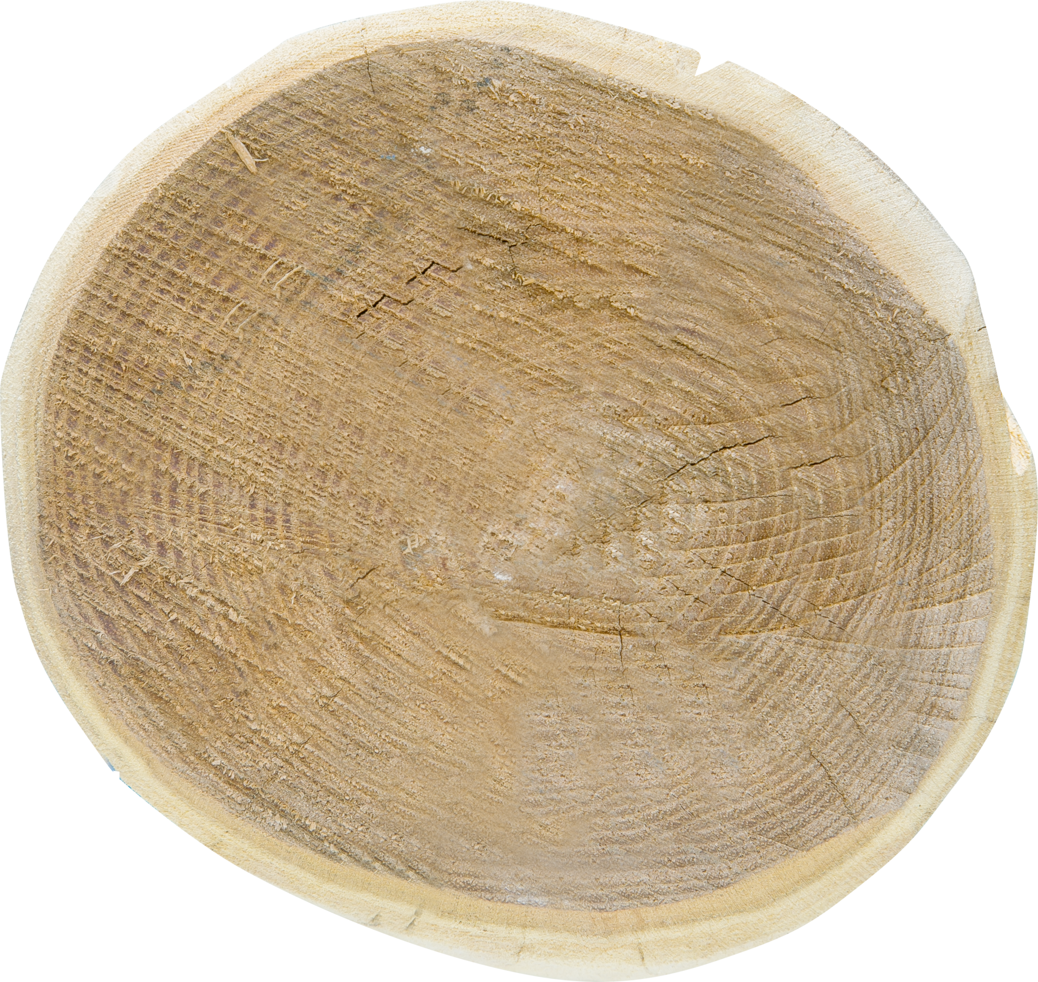 Patura Robinia paal, rond, 2250 mm, d=16-18 cm