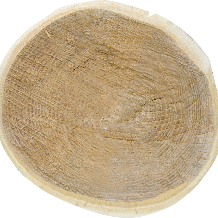 Patura Robinia paal, rond, 2500 mm, d=16-18 cm