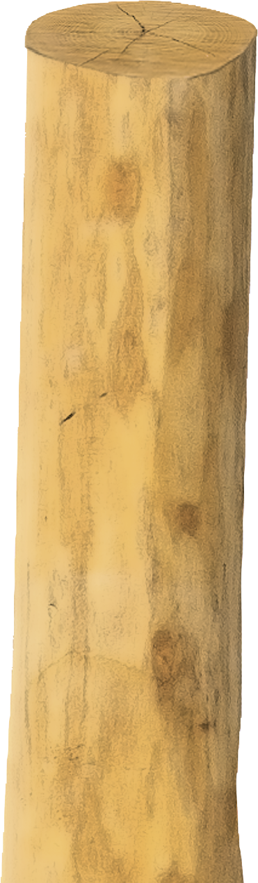 Patura Robinia paal, rond, 2750 mm, d=16-18 cm