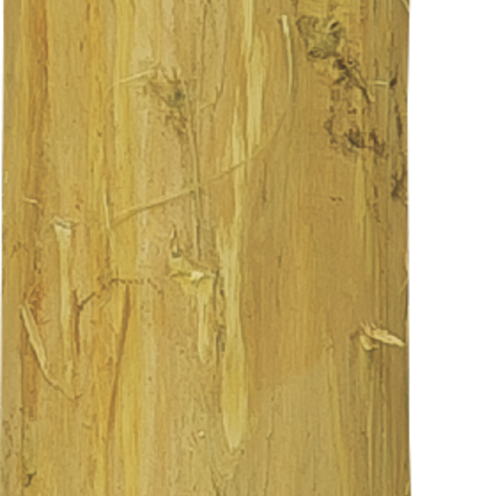 Patura Robinia paal, gehalveerd, 2000 mm, d=13-15 cm, afgeschuind, 3-voudig onthorst