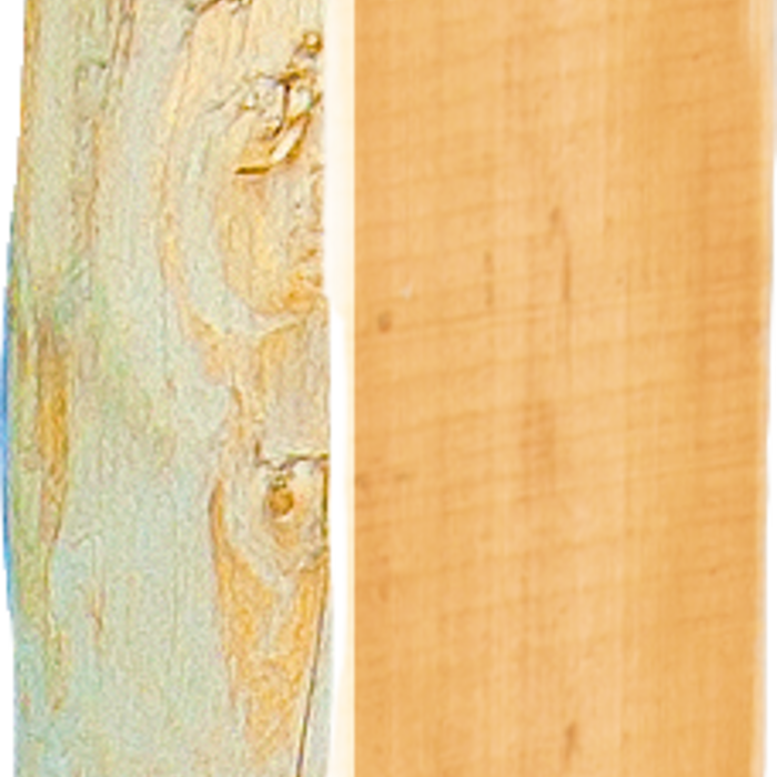 Patura Robinia paal, gehalveerd, 2000 mm, d=13-15 cm, afgeschuind, 3-voudig onthorst