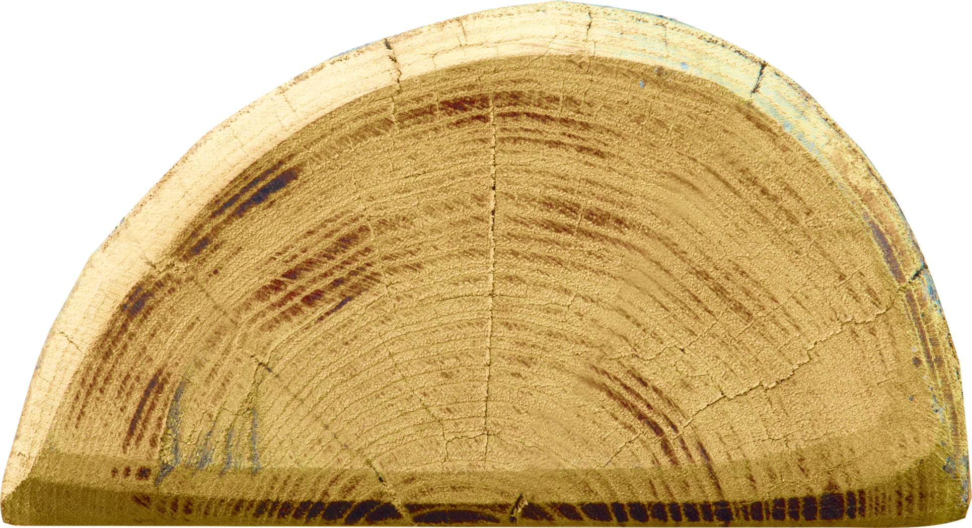 Patura Robinia paal, gehalveerd, 2000 mm, d=13-15 cm, afgeschuind, 3-voudig onthorst