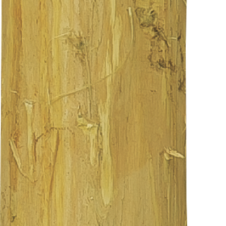 Patura Robinia paal, gehalveerd, Ø13-15cm, 1,50m