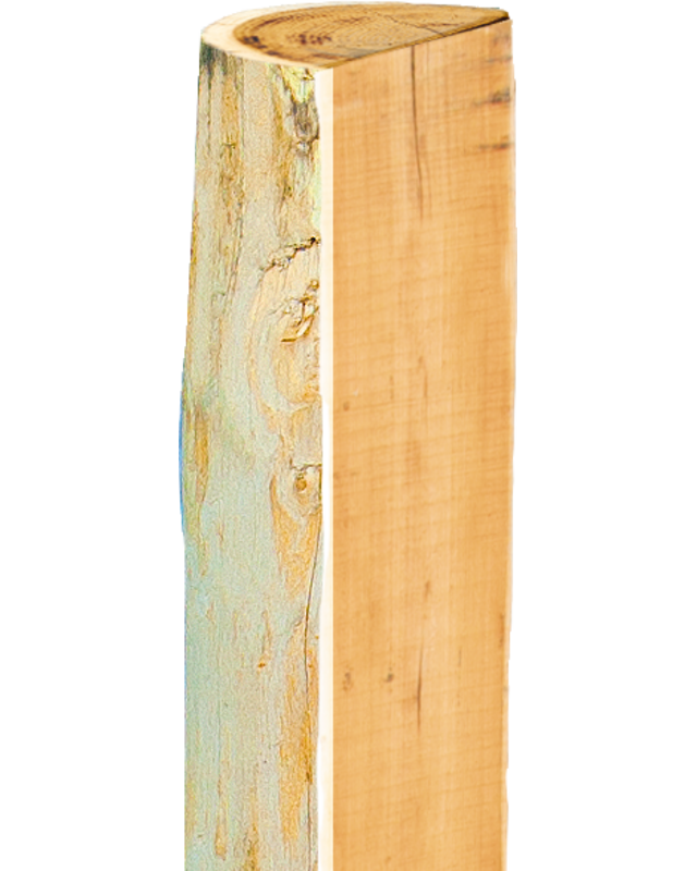Patura Robinia paal, gehalveerd, 1500 mm, d=13-15 cm, afgeschuind, 3-voudig onthorst