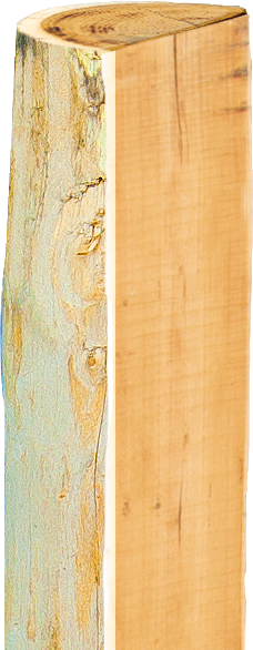 Patura Robinia paal, gehalveerd, 1800 mm, d=13-15 cm, afgeschuind, 3 -voudig onthorst