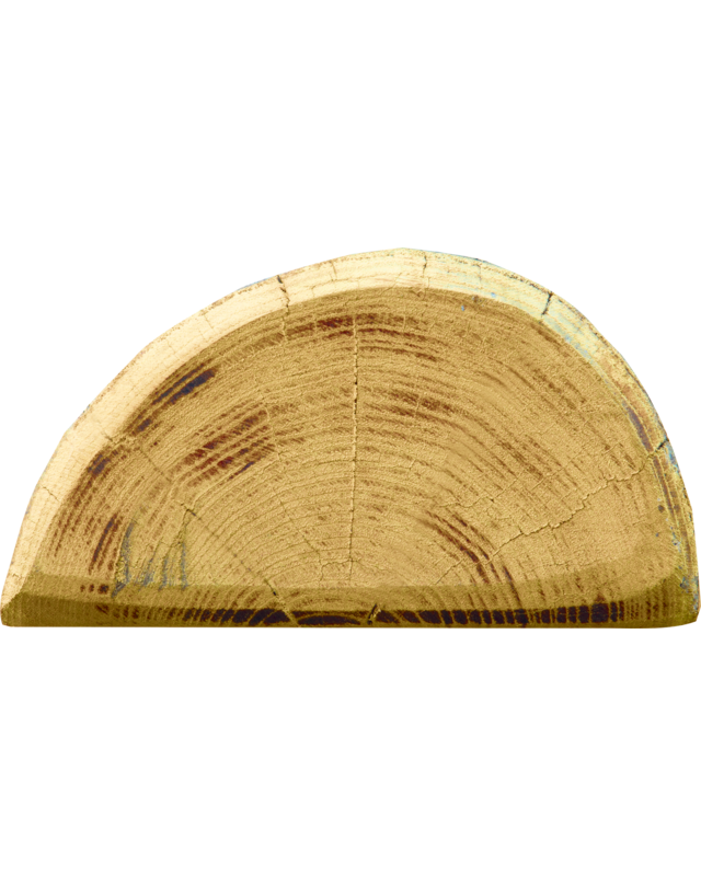 Patura Robinia paal, gehalveerd, 1800 mm, d=13-15 cm, afgeschuind, 3 -voudig onthorst