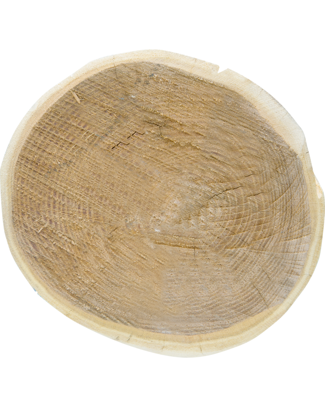Patura Robinia paal, rond, grond, 3500 mm, d=16-18 cm, afgeschuind, geschaafd, 4-voudig onthorst