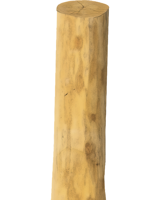 Patura Robinia paal, rond, 2250 mm, d=14-16 cm afgeschuind, 4- voudig gescherpt, ontschorst