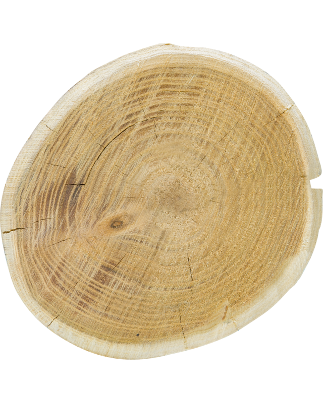 Patura Robinia paal, rond, 2500 mm, d=14-16 cm afgeschuind, 4- voudig gescherpt, ontschorst