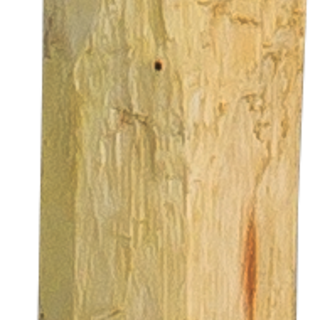 Patura Robinia paal Ø6-8cm, 2,00m