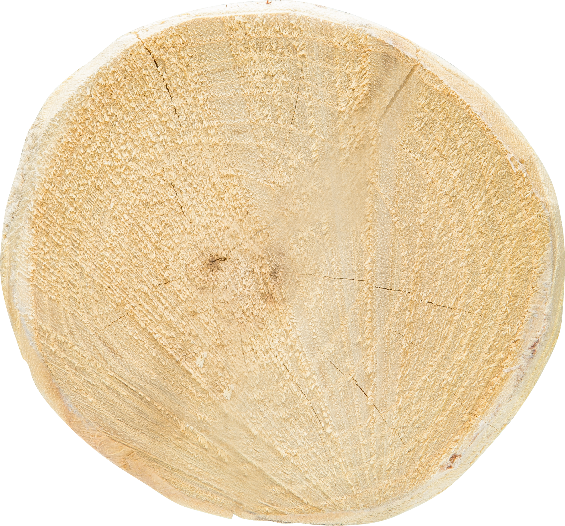 Patura Robinia paal, rond, 2,0 m, d= 6-8 cm, afgeschuind, 4- voudig gescherpt, ontschorst