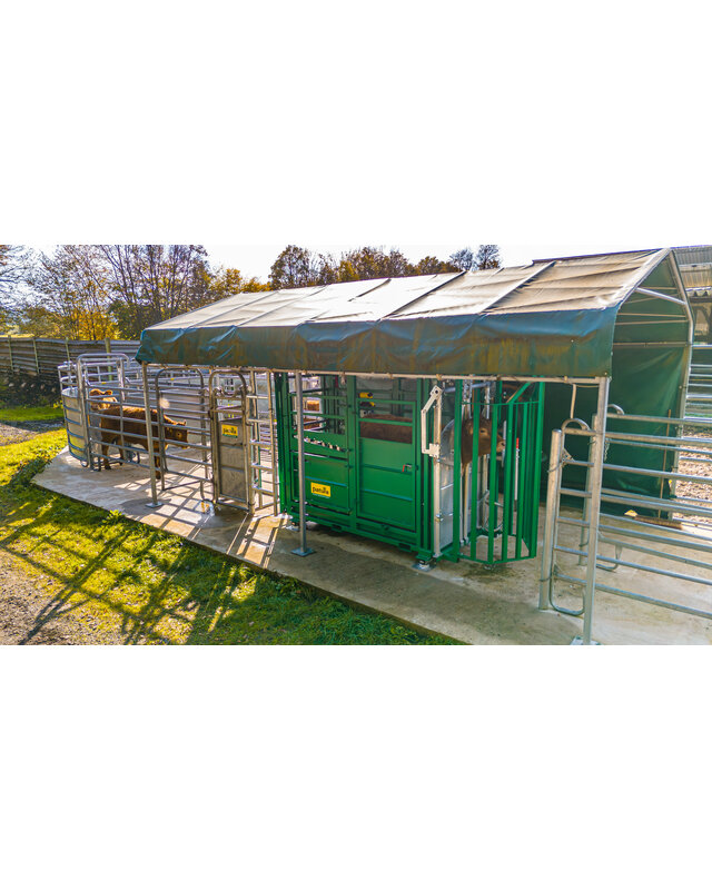 Patura Cattle Crush A6000 with rear sliding gate, baulk gate double-leaf, infinitely headbail