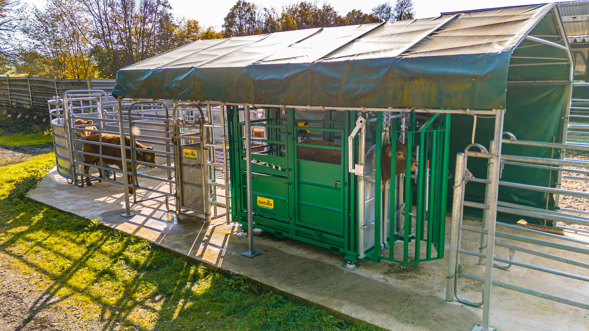 Patura Cattle Crush A6000 with rear sliding gate, baulk gate double-leaf, infinitely headbail