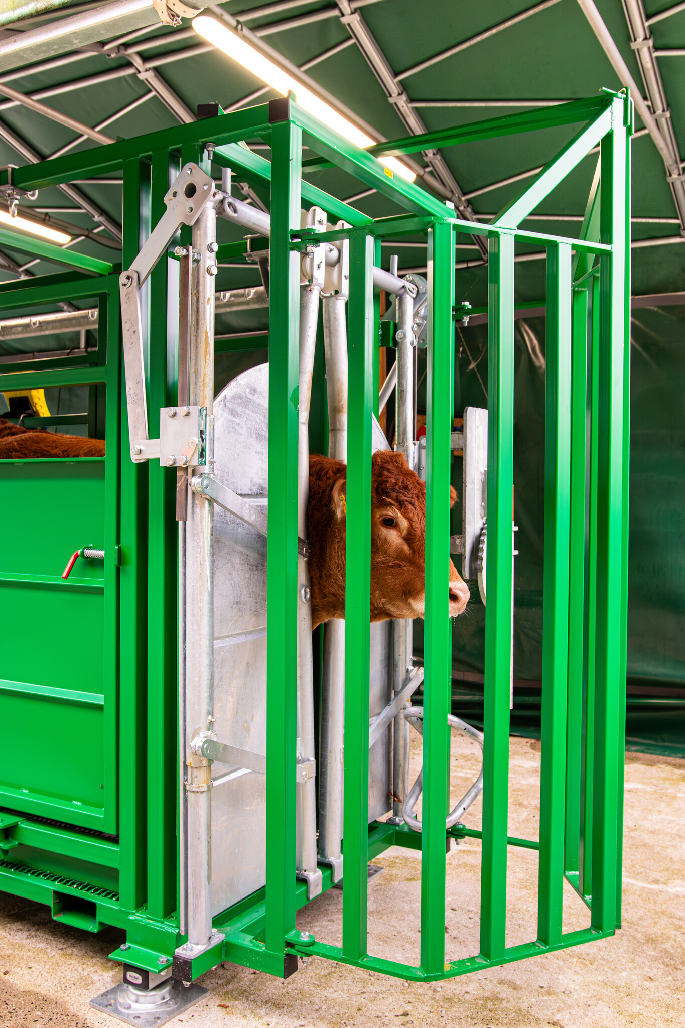 Patura Behandelbox A6000, groen gelakt