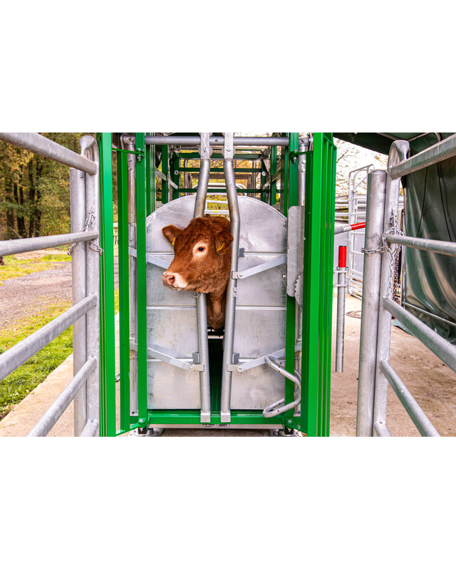 Patura Cattle Crush A6000 with rear sliding gate, baulk gate double-leaf, infinitely headbail