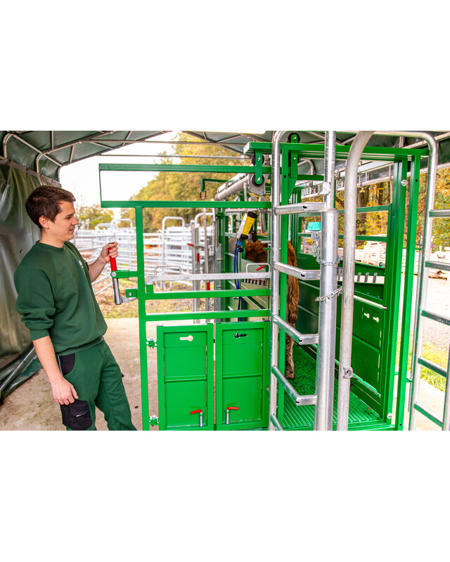 Patura Cattle Crush A6000 with rear sliding gate, baulk gate double-leaf, infinitely headbail