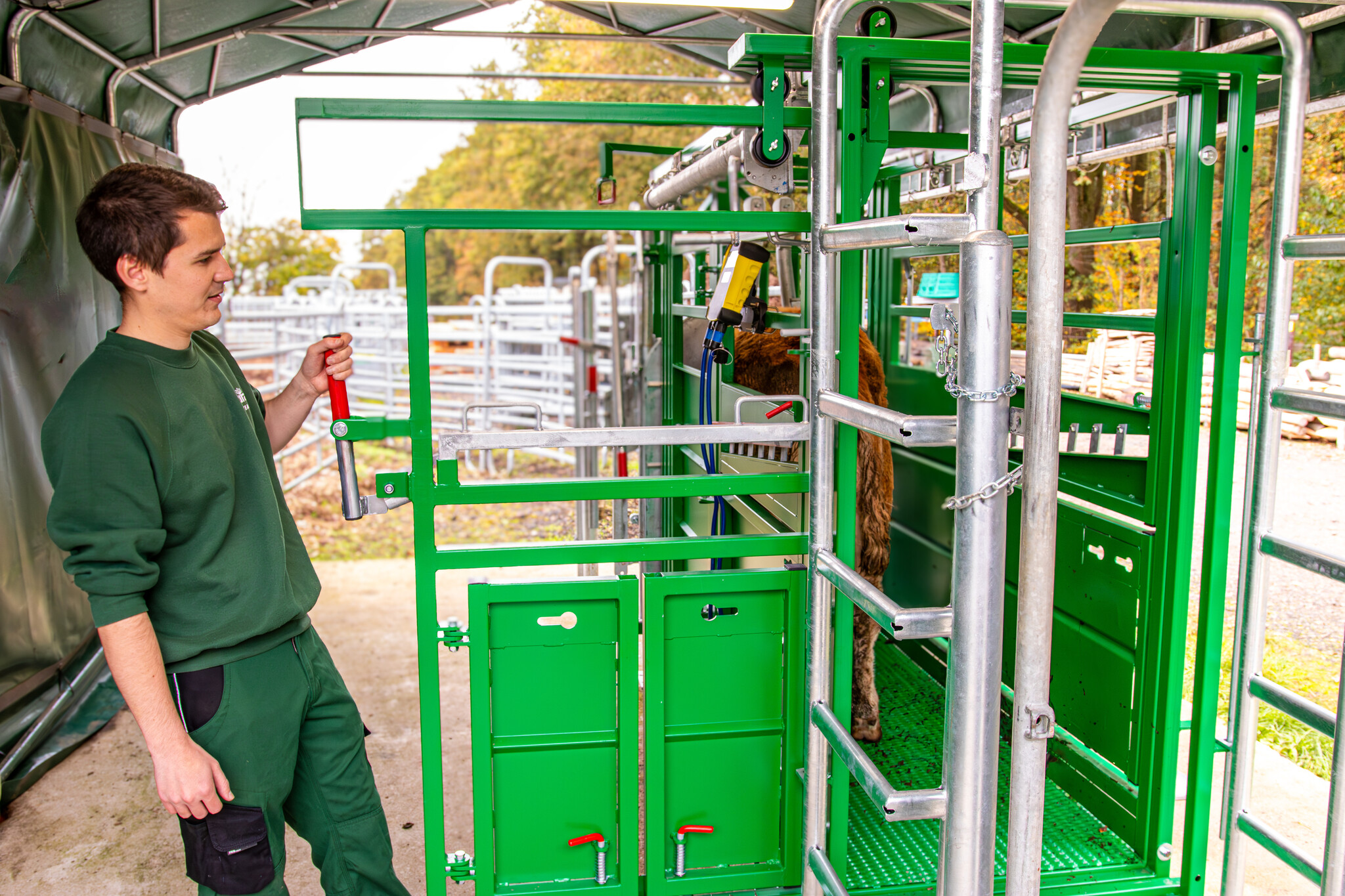 Patura Cattle Crush A6000 with rear sliding gate, baulk gate double-leaf, infinitely headbail