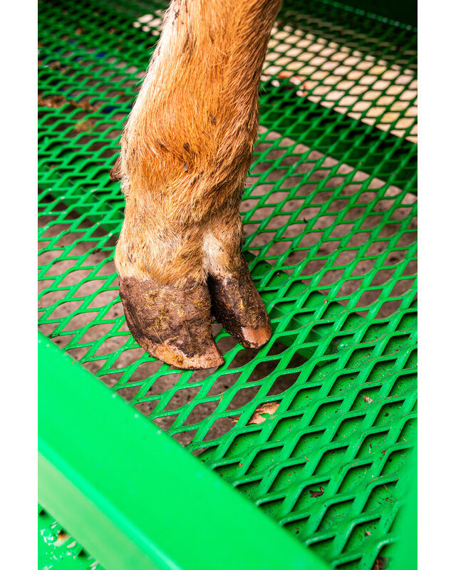 Patura Cattle Crush A6000 with rear sliding gate, baulk gate double-leaf, infinitely headbail