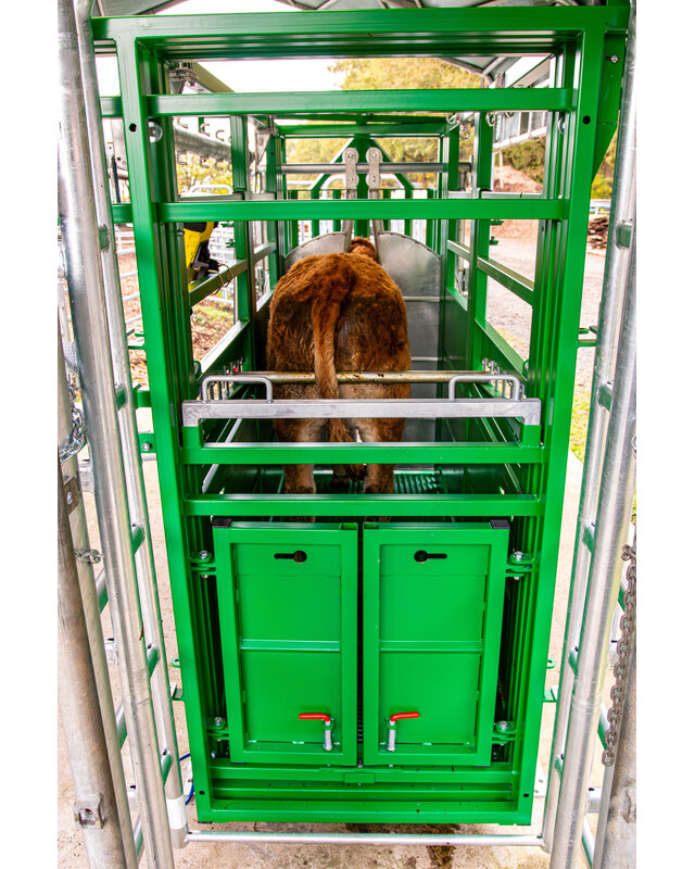 Patura Cattle Crush A6000 with rear sliding gate, baulk gate double-leaf, infinitely headbail