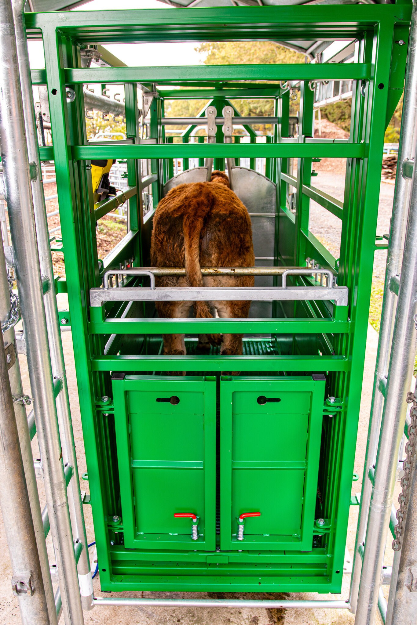 Patura Behandelbox A6000, groen gelakt