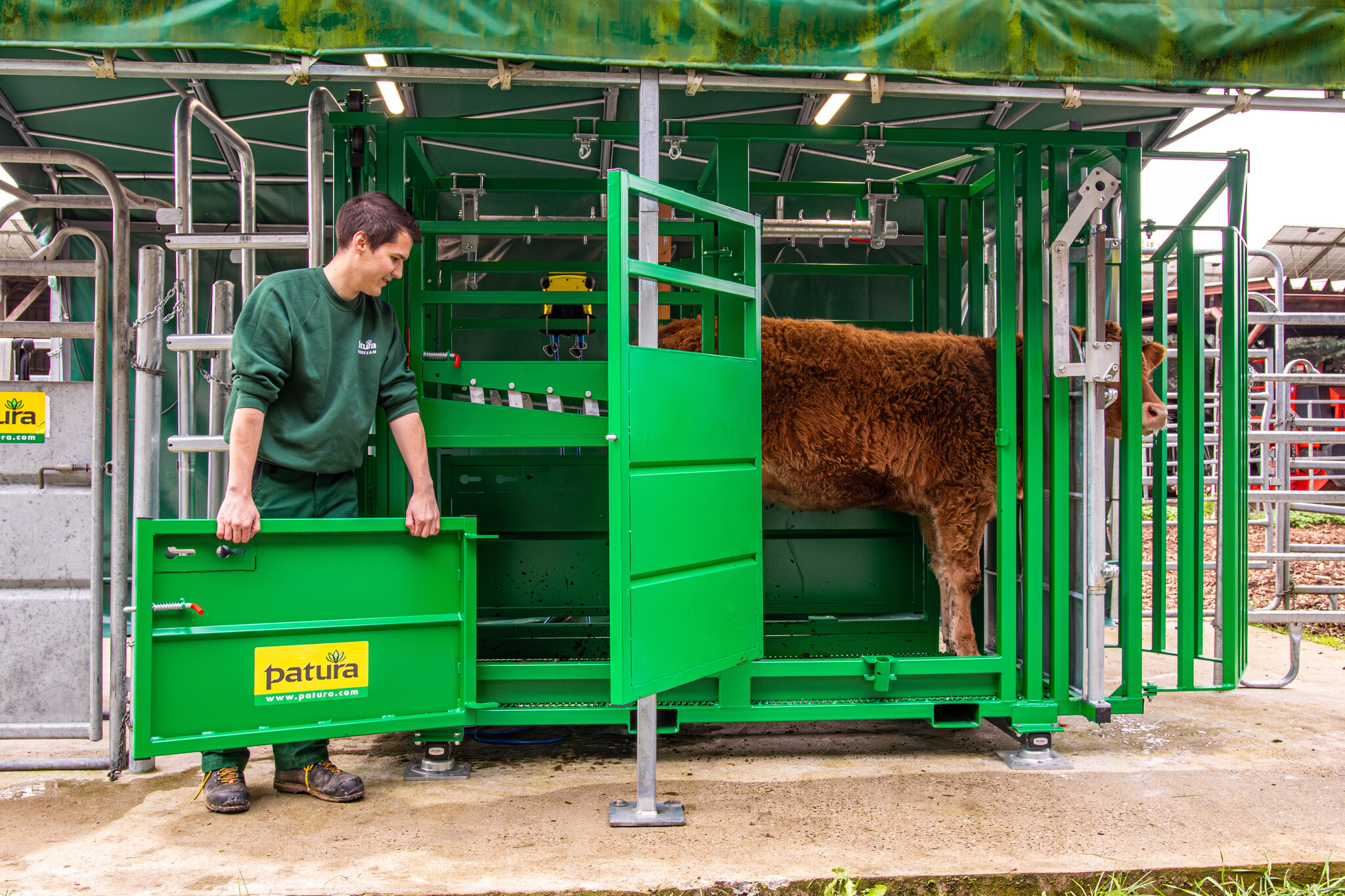 Patura Cattle Crush A6000 with rear sliding gate, baulk gate double-leaf, infinitely headbail