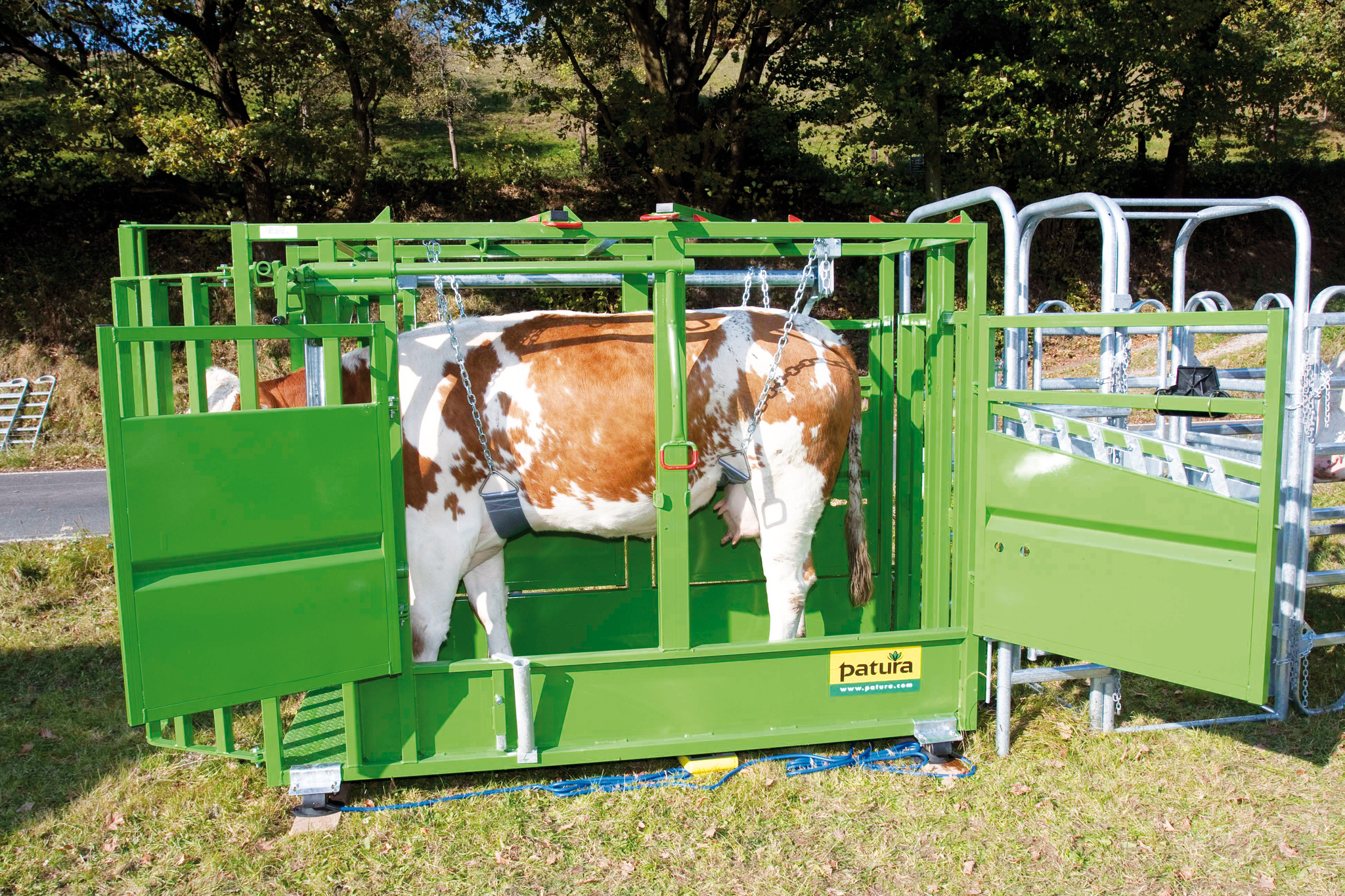 Patura Vastzet en behandelbox A5000, groen gelakt