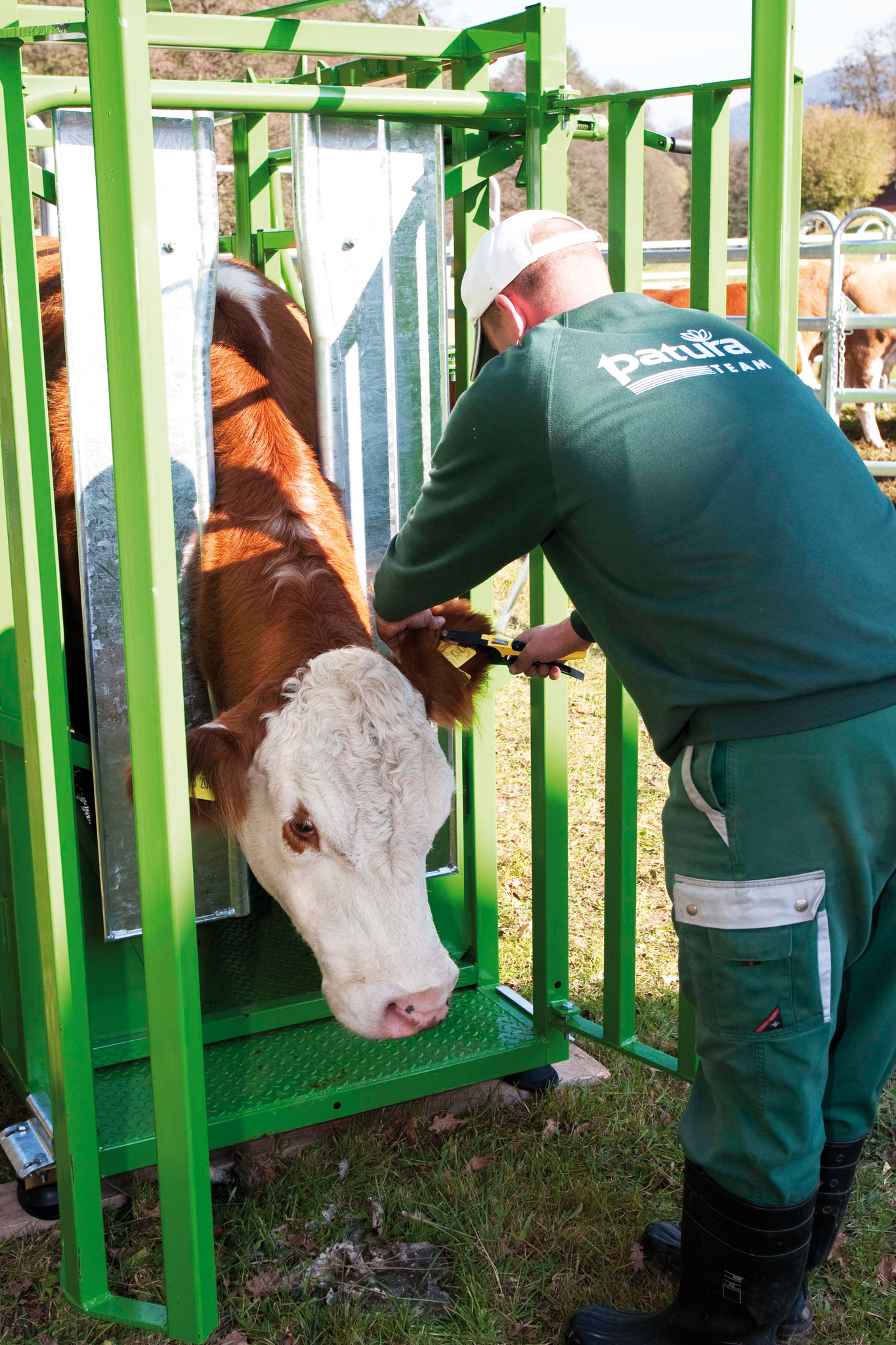 Patura Vastzet en behandelbox A5000, groen gelakt