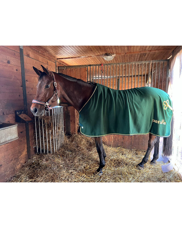 Patura Wandruif variabel, Hoogte 1,00 m