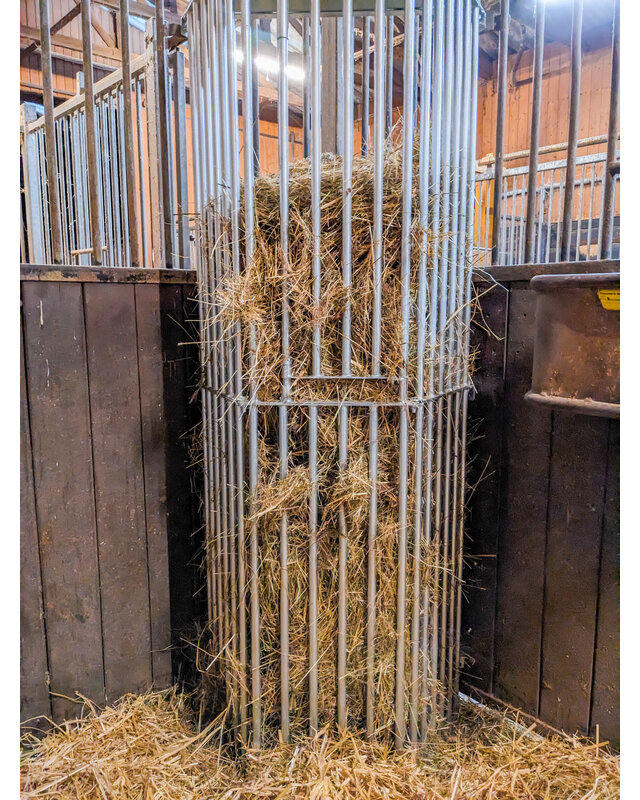 Patura Wandruif variabel, Hoogte 2,00 m