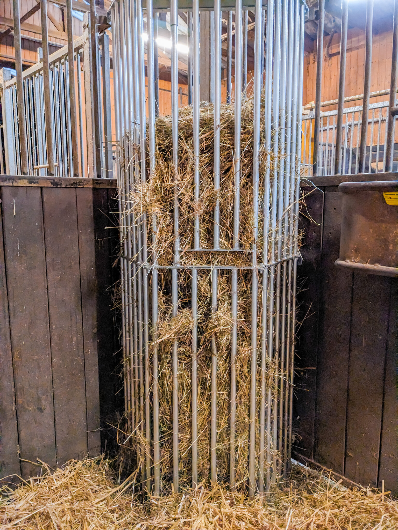 Patura Wandruif variabel, Hoogte 2,00 m