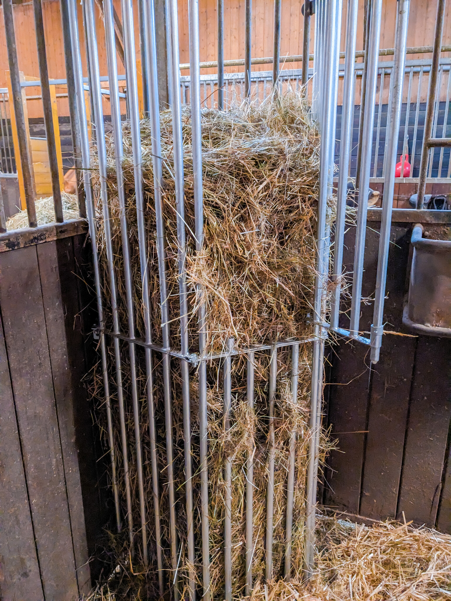 Patura Wandruif variabel, Hoogte 2,00 m