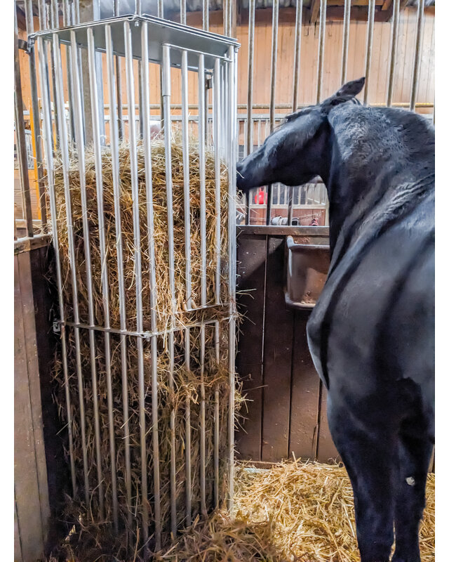 Patura Wandruif variabel, Hoogte 2,00 m