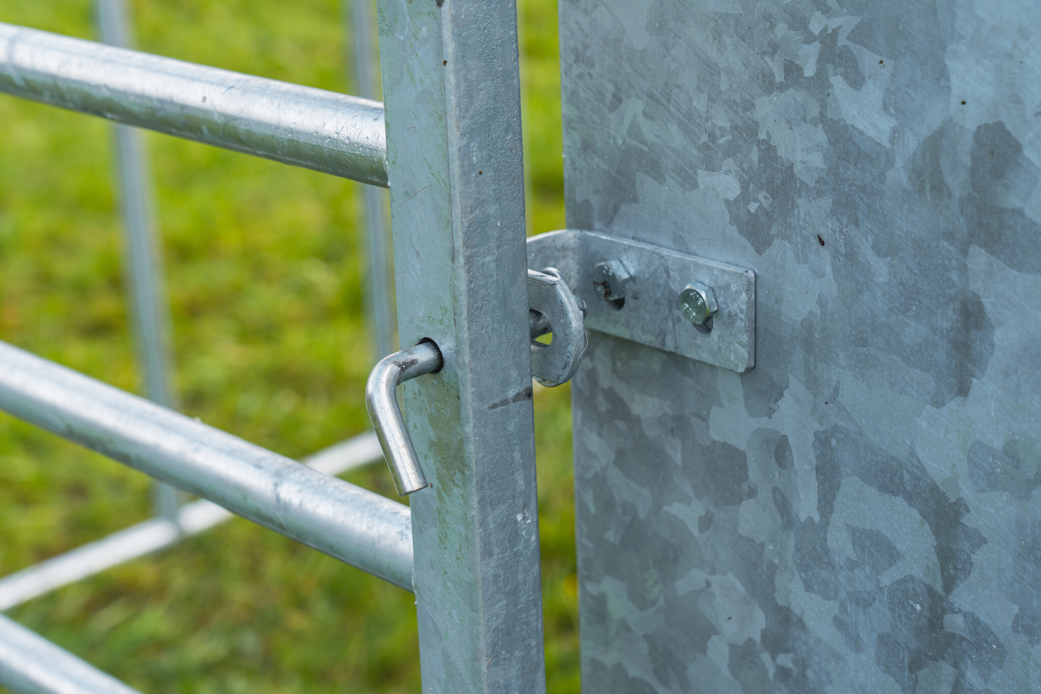 Patura Krachtvoerautomaat voor kalveren incl. hekwerk