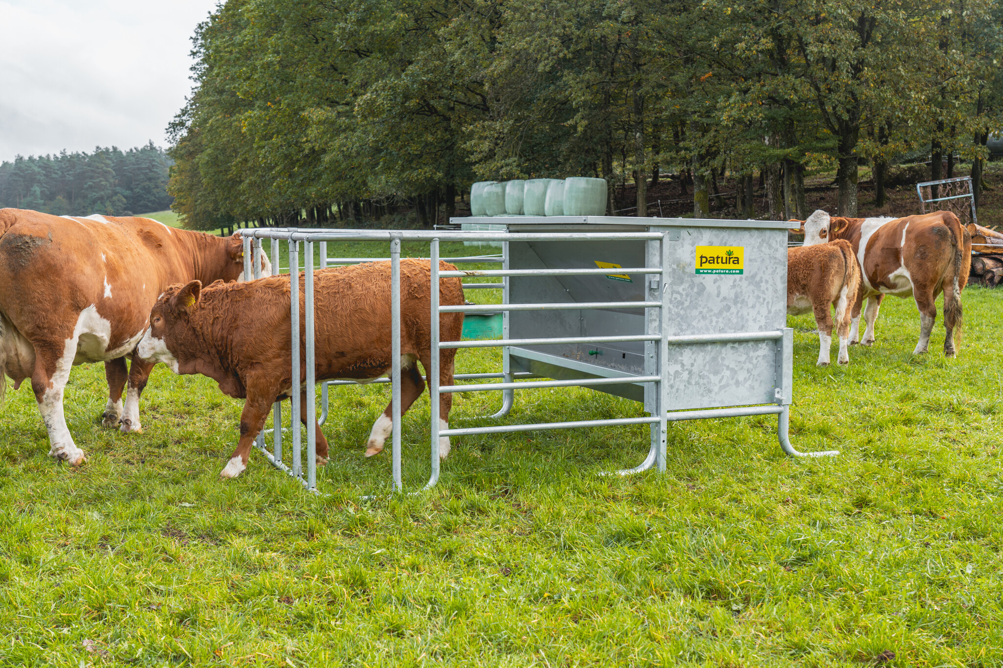 Patura Krachtvoerautomaat voor kalveren incl. hekwerk