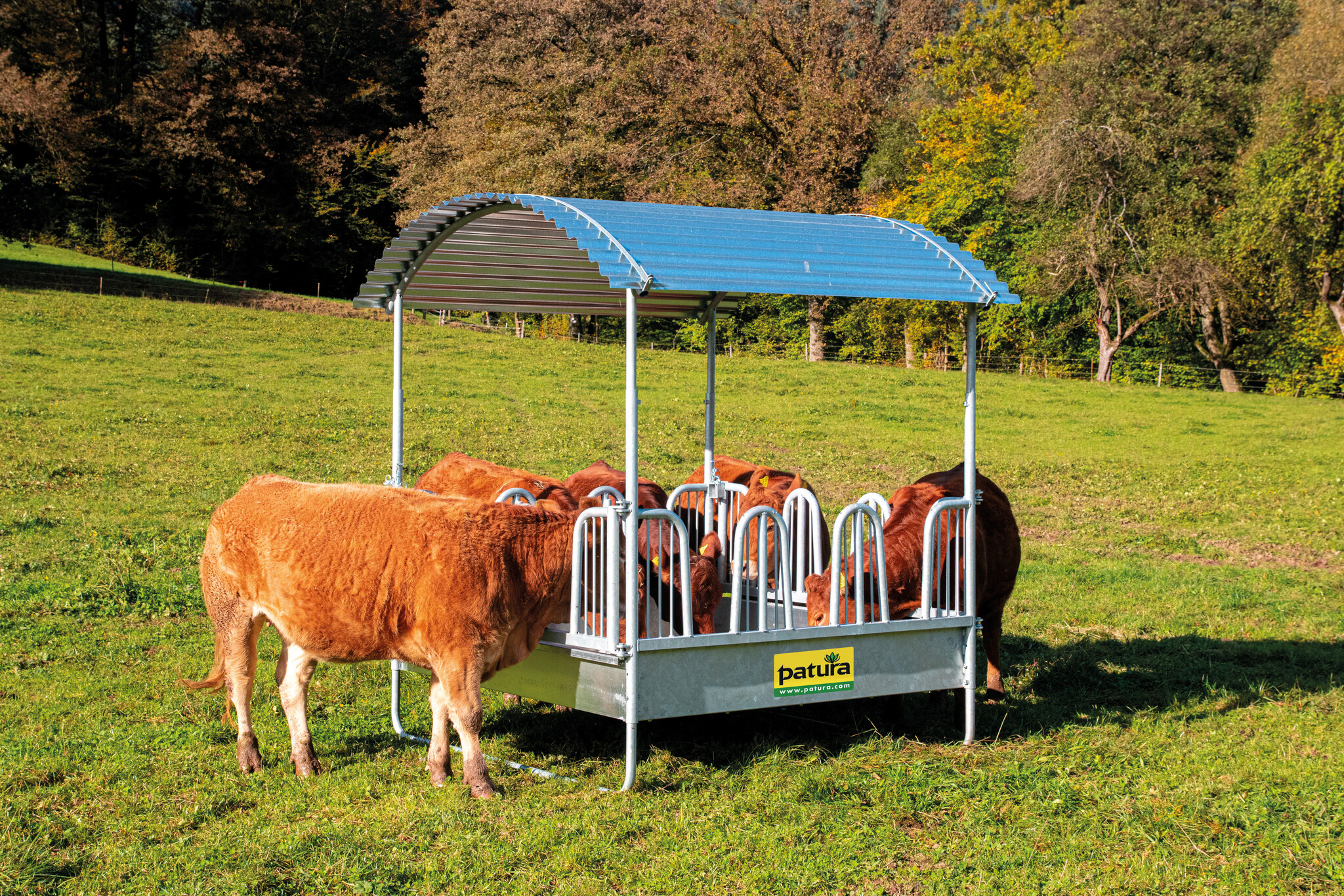 Patura Compact Rectangular Feeder with Safety Tombstone Feed Front, 12 feed spaces, w/o upper link tube
