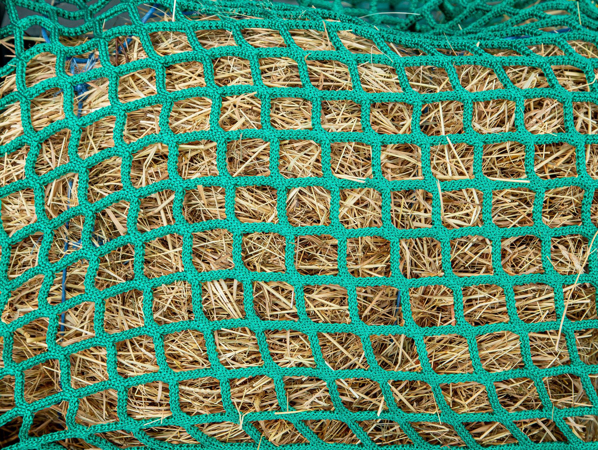 Patura Voerbesparend net  3,60 x 3,60 m maaswijdte 6,0 cm, met elastische spanband en karabijnhaak