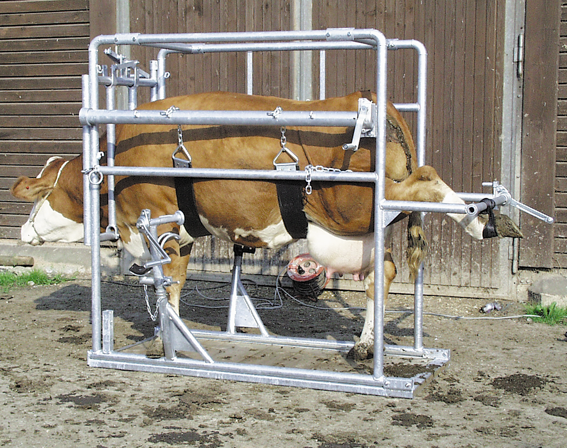 Patura Klauwbehandelbox Compact 1, vz