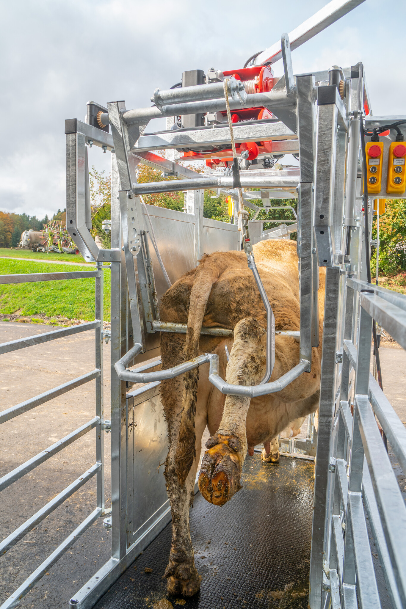 Patura Klauwbehandelbox Profi E