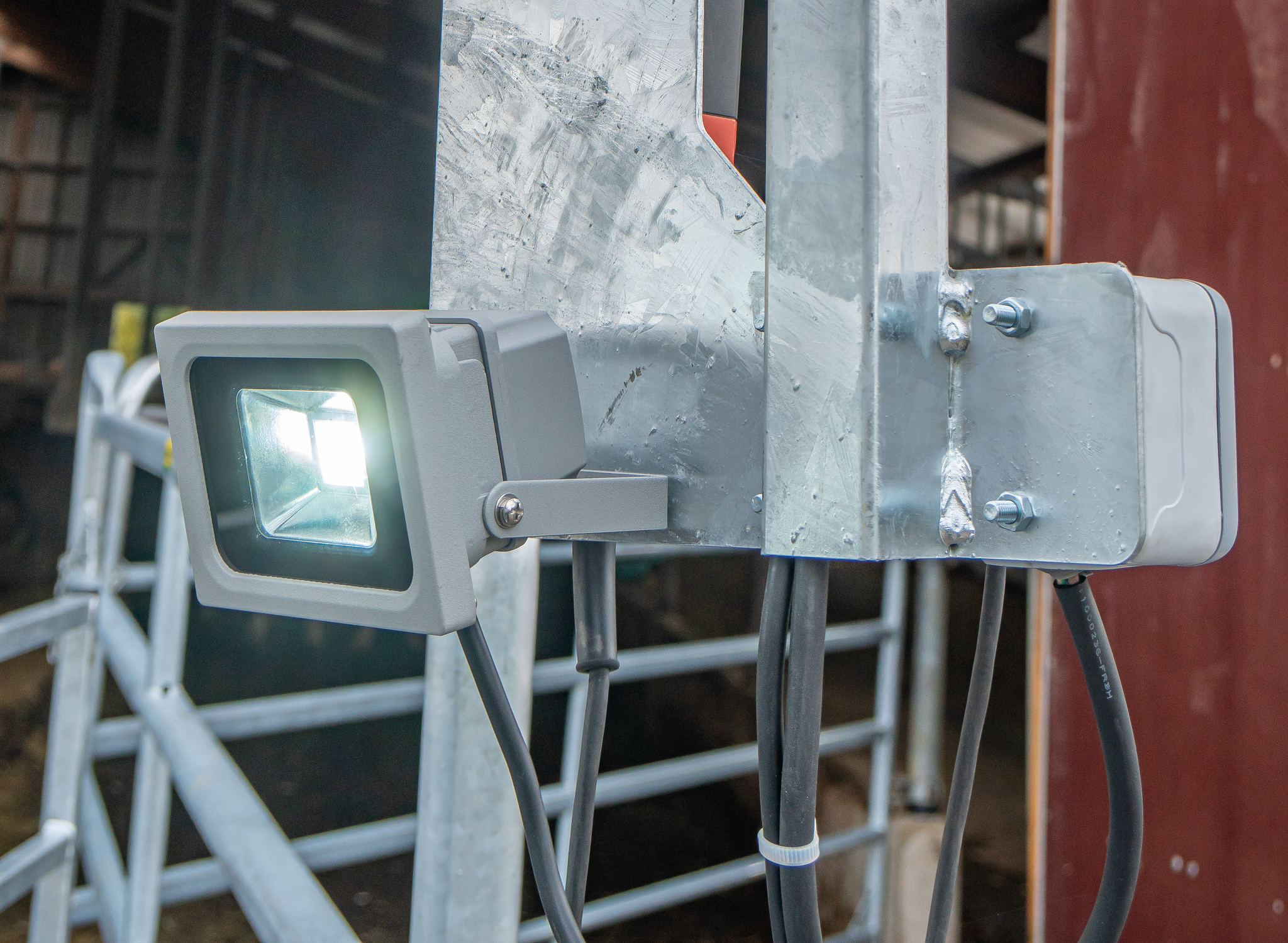 Patura Klauwbehandelbox Profi E