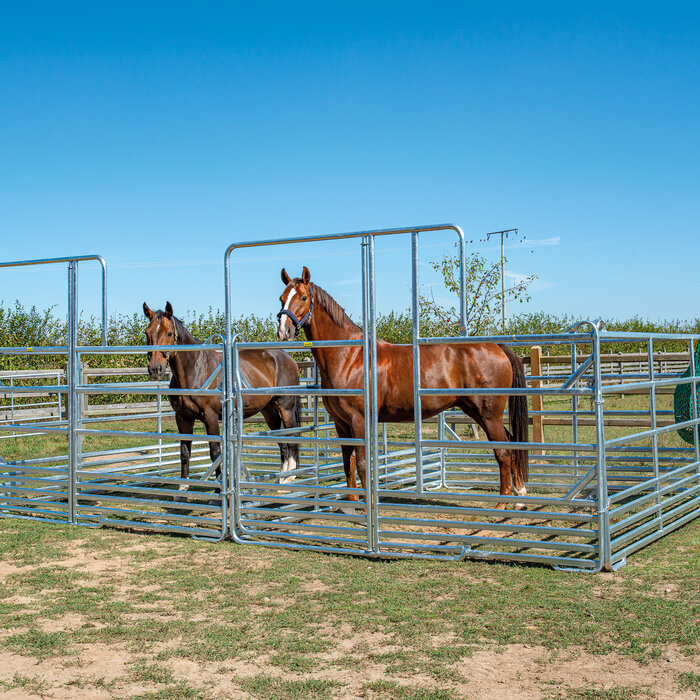 Patura Veiligheidspaneel-paarden met Poort en 1x voerplaats lengte 3,00 m, hoogte 2,40 m