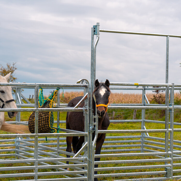 Patura Veiligheidspaneel voor paarden met schuifpoort 3,00 m, hoogte 2,50 m
