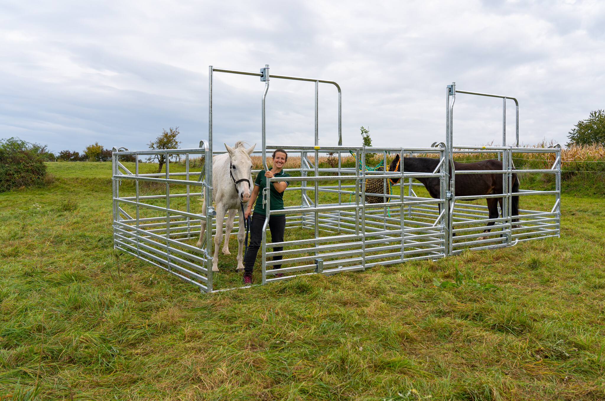 Patura Veiligheidspaneel voor paarden met schuifpoort 3,00 m, hoogte 2,50 m
