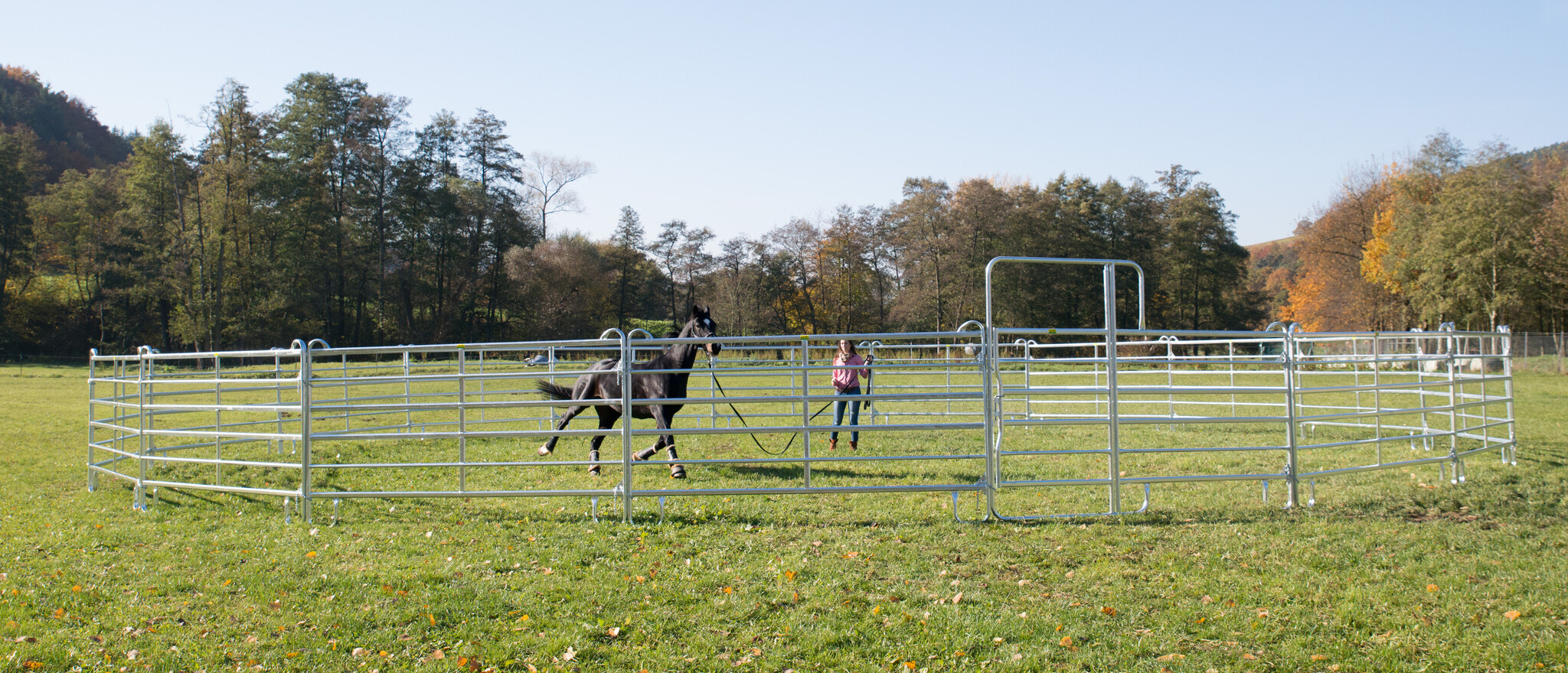 Patura Roundpen d = 11 m