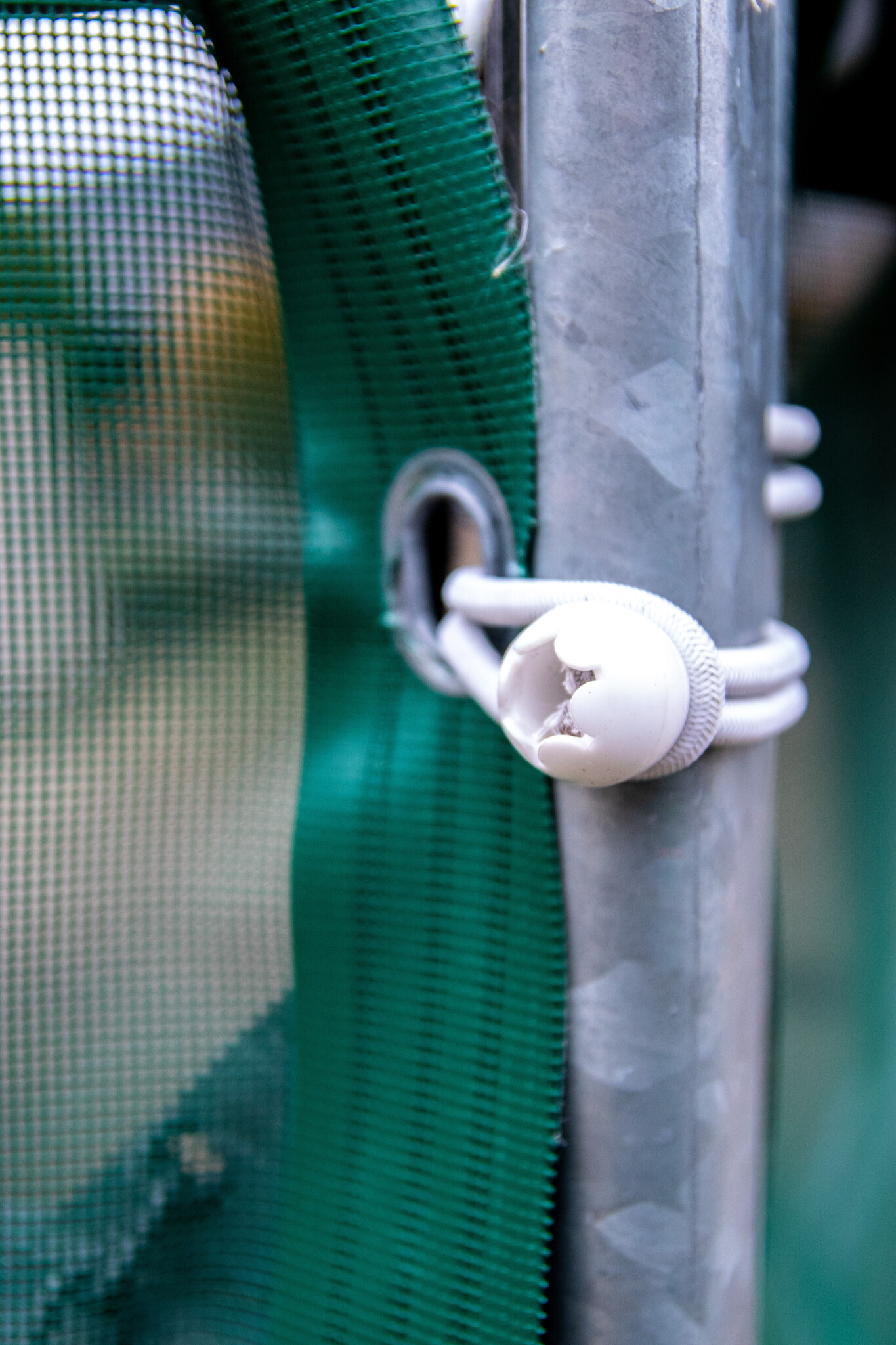 Patura Windbreekgaas voor paneeldak compact zijkant 6 m, hoogte 1,6 m