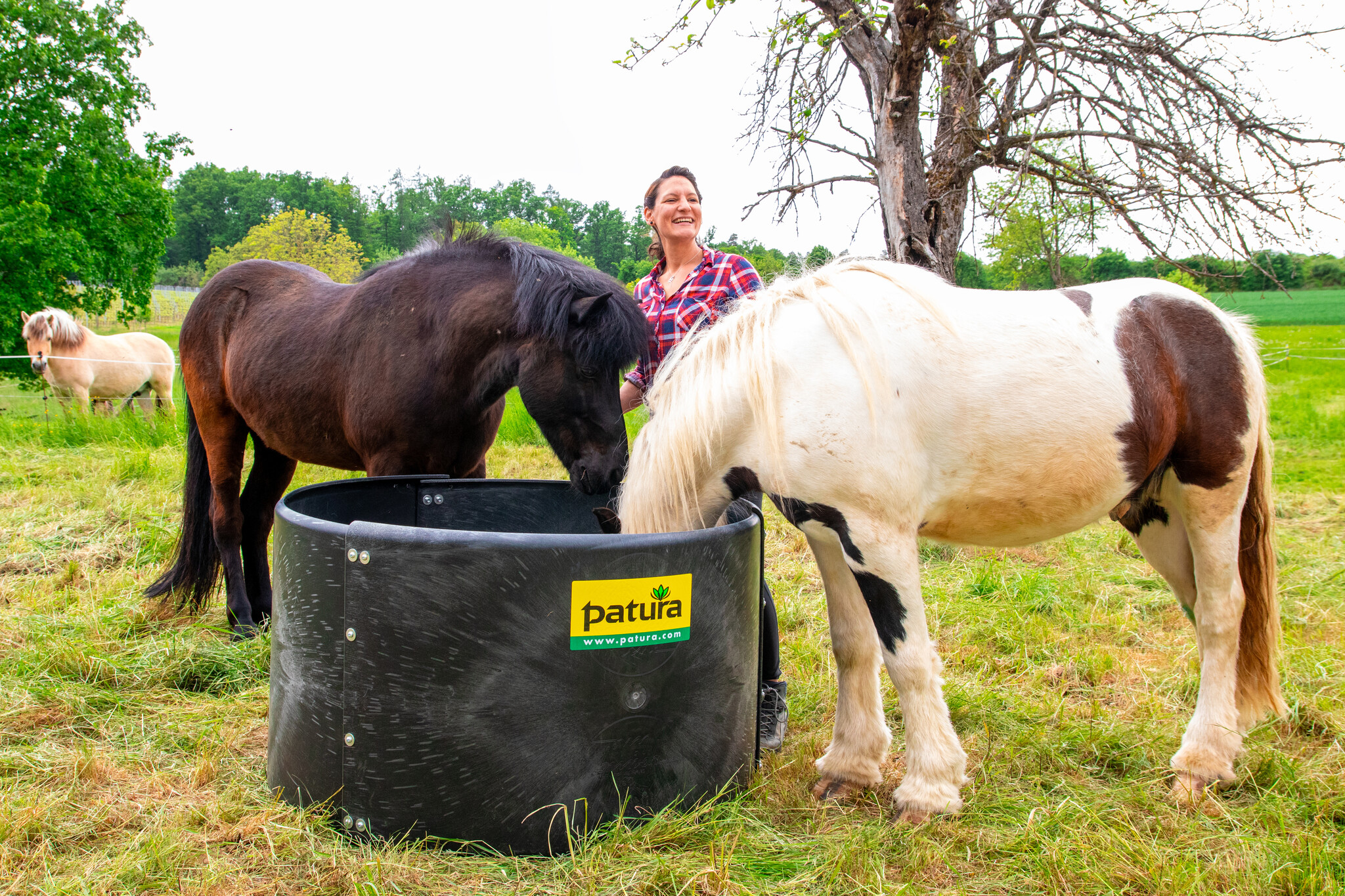 Patura Plastic Ring Feeder Slow-Feeder d = 1.25 m, h = 0.78 m, 3-part