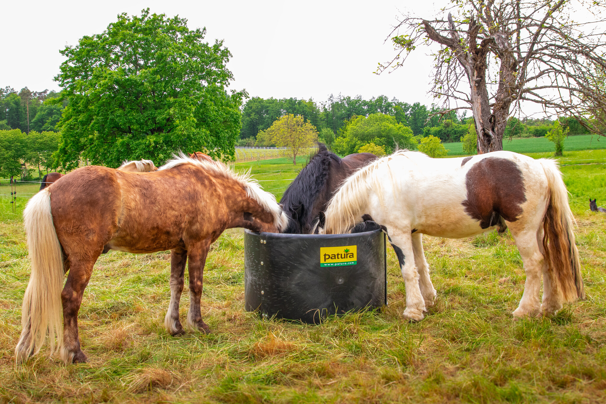 Patura Plastic Ring Feeder d = 1.25 m, h = 0.78 m, 3 segments