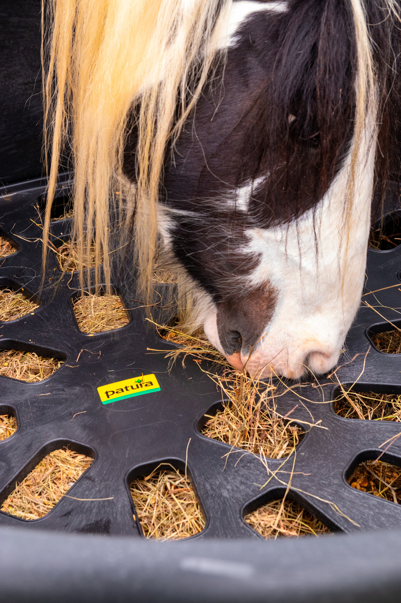 Patura Slow Feeder insert d=1.25 m for Plastic Ring Feeder