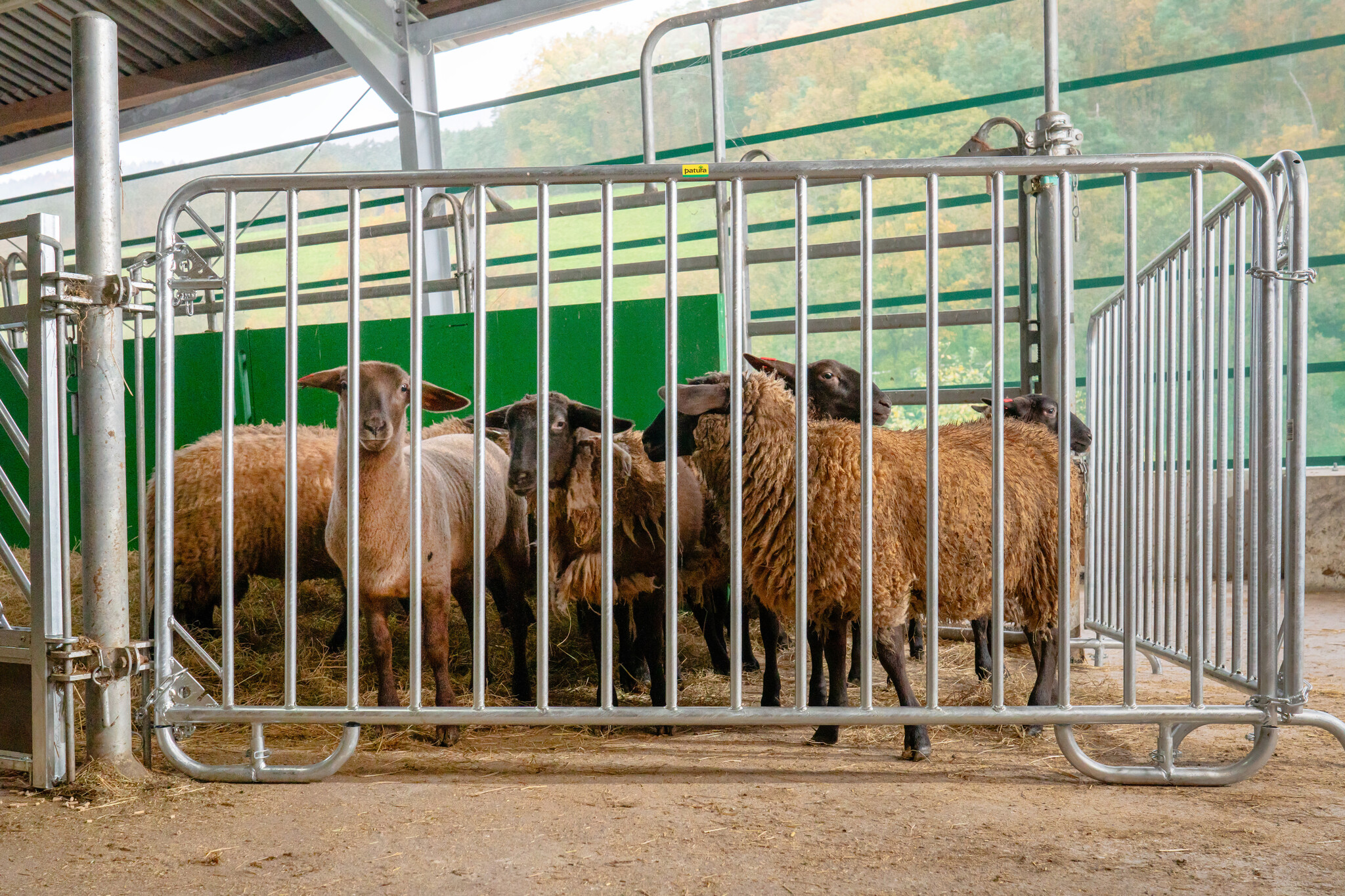 Patura Barrier Fence Duofix length 2.00 m, height 1.10 m