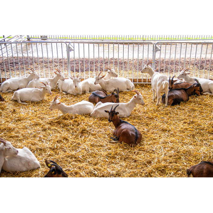 Patura Barrier Fence Duofix length 2.00 m, height 1.10 m