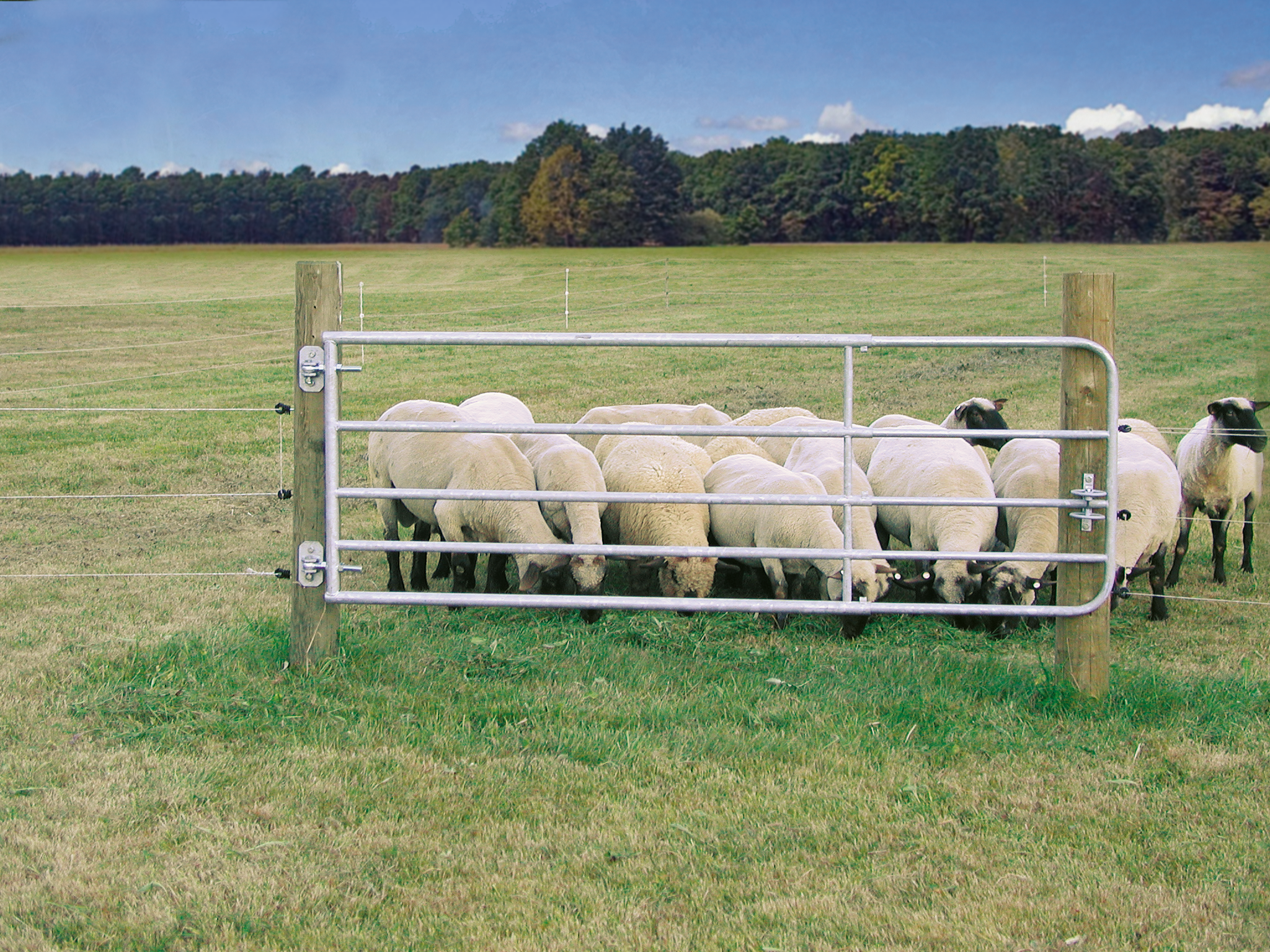 Patura Verstelbaar Weiderasterpoort 90cm, lengte 1,10-1,7m, gegalvaniseerd, incl. montageonderdelen